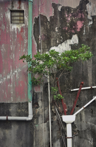 Illustration for article titled These post-apocalypse images of Hong Kong are actually real photos
